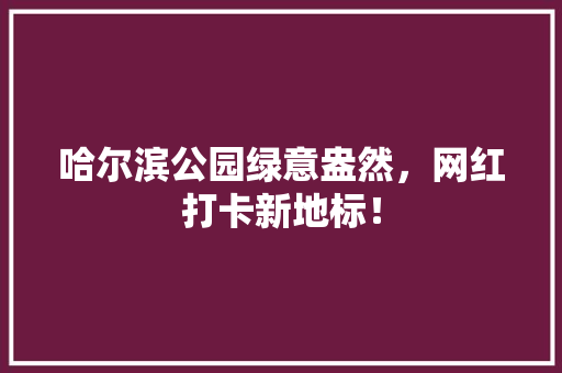 哈尔滨公园绿意盎然，网红打卡新地标！