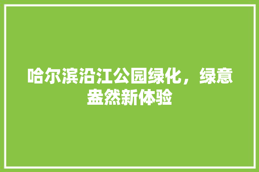 哈尔滨沿江公园绿化，绿意盎然新体验