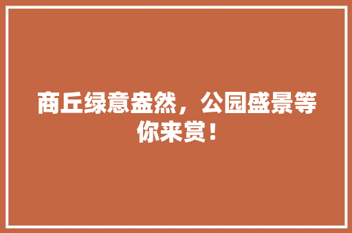 商丘绿意盎然，公园盛景等你来赏！