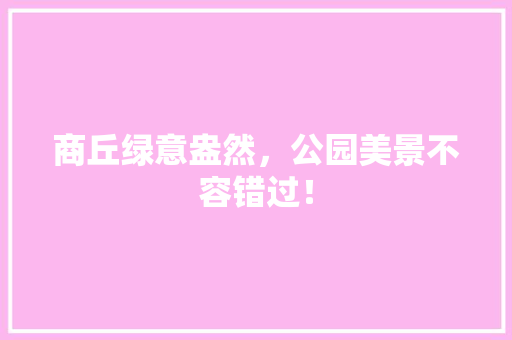 商丘绿意盎然，公园美景不容错过！