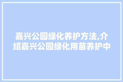 嘉兴公园绿化养护方法,介绍嘉兴公园绿化用苗养护中心！