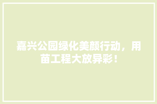 嘉兴公园绿化美颜行动，用苗工程大放异彩！ 花卉育苗