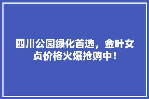 四川公园绿化首选，金叶女贞价格火爆抢购中！