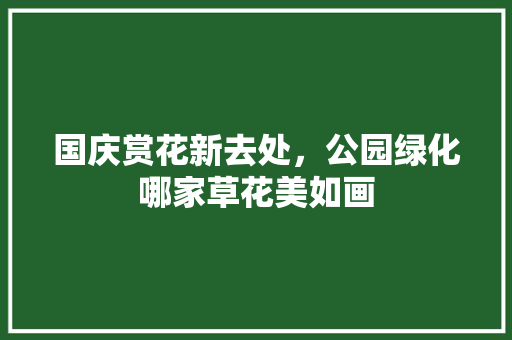 国庆赏花新去处，公园绿化哪家草花美如画