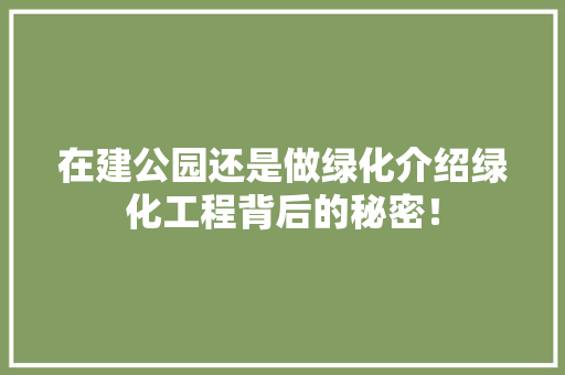 在建公园还是做绿化介绍绿化工程背后的秘密！