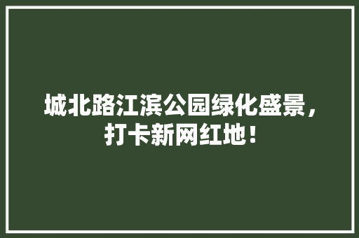城北路江滨公园绿化盛景，打卡新网红地！