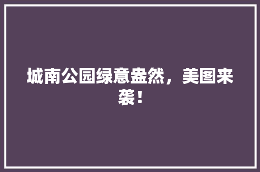 城南公园绿意盎然，美图来袭！