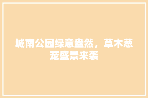 城南公园绿意盎然，草木葱茏盛景来袭