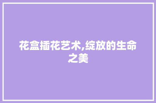 花盒插花艺术,绽放的生命之美 温室育苗