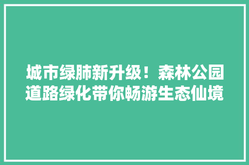 城市绿肺新升级！森林公园道路绿化带你畅游生态仙境