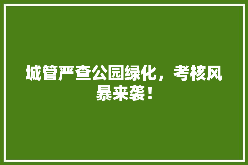 城管严查公园绿化，考核风暴来袭！