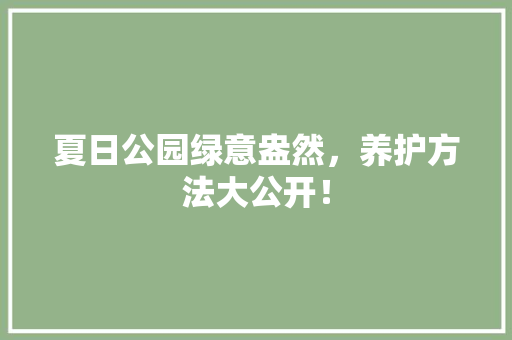 夏日公园绿意盎然，养护方法大公开！