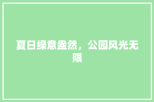 夏日绿意盎然，公园风光无限