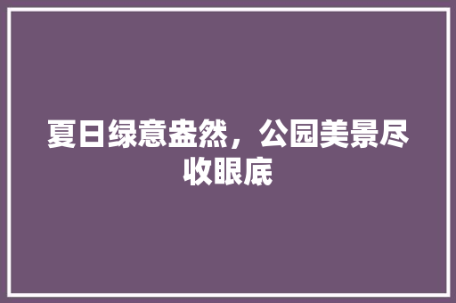 夏日绿意盎然，公园美景尽收眼底