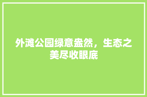 外滩公园绿意盎然，生态之美尽收眼底
