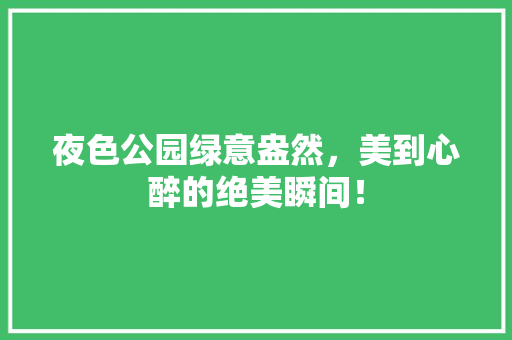 夜色公园绿意盎然，美到心醉的绝美瞬间！