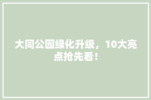 大同公园绿化升级，10大亮点抢先看！
