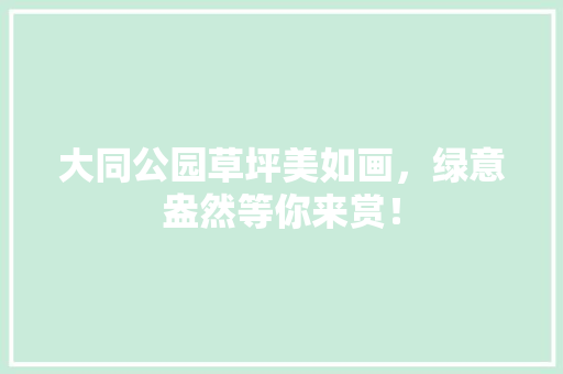 大同公园草坪美如画，绿意盎然等你来赏！