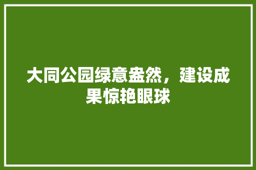 大同公园绿意盎然，建设成果惊艳眼球