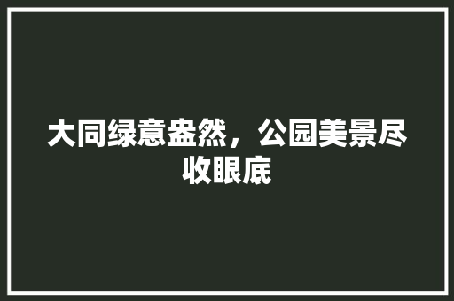 大同绿意盎然，公园美景尽收眼底