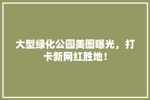 大型绿化公园美图曝光，打卡新网红胜地！