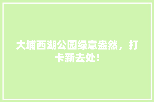 大埔西湖公园绿意盎然，打卡新去处！