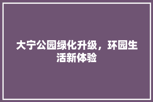 大宁公园绿化升级，环园生活新体验