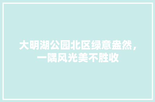 大明湖公园北区绿意盎然，一隅风光美不胜收