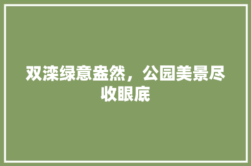 双滦绿意盎然，公园美景尽收眼底