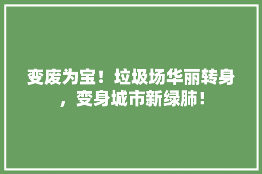 变废为宝！垃圾场华丽转身，变身城市新绿肺！