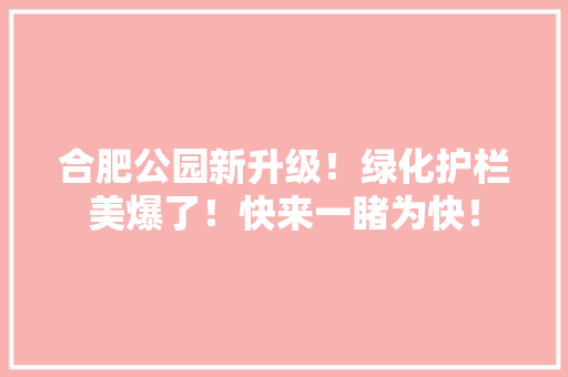 合肥公园新升级！绿化护栏美爆了！快来一睹为快！