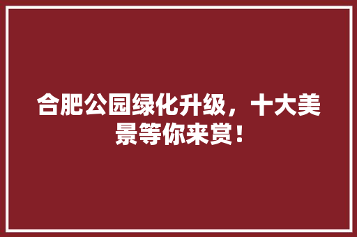 合肥公园绿化升级，十大美景等你来赏！