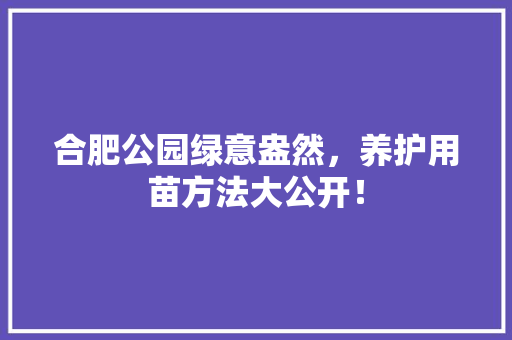 合肥公园绿意盎然，养护用苗方法大公开！
