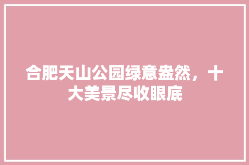 合肥天山公园绿意盎然，十大美景尽收眼底