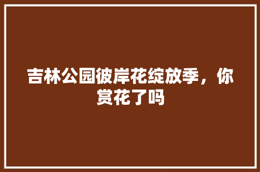 吉林公园彼岸花绽放季，你赏花了吗