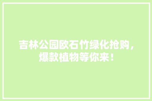 吉林公园欧石竹绿化抢购，爆款植物等你来！