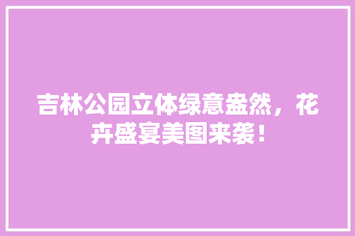 吉林公园立体绿意盎然，花卉盛宴美图来袭！