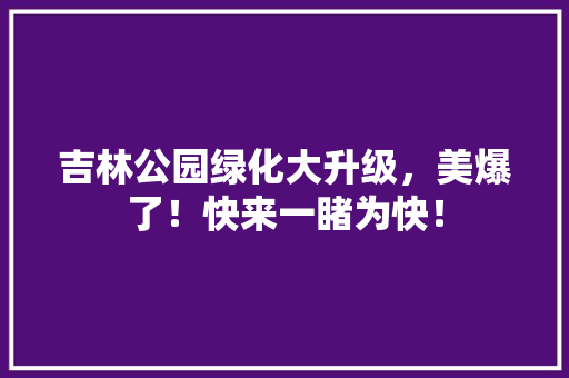 吉林公园绿化大升级，美爆了！快来一睹为快！