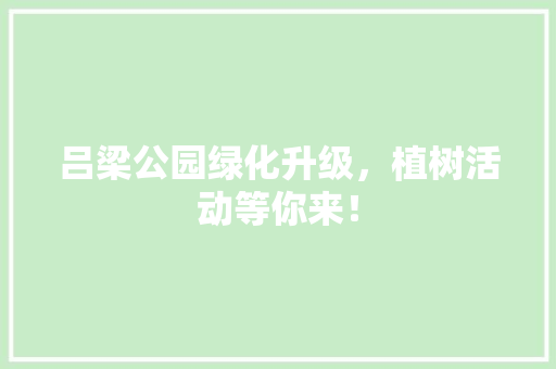 吕梁公园绿化升级，植树活动等你来！