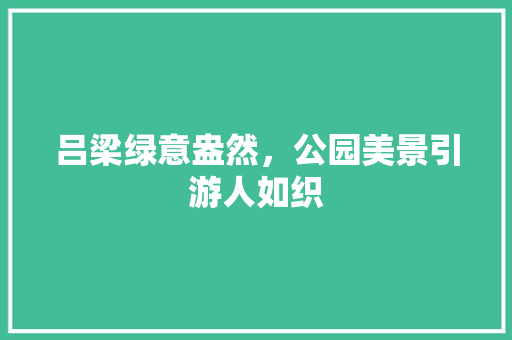 吕梁绿意盎然，公园美景引游人如织