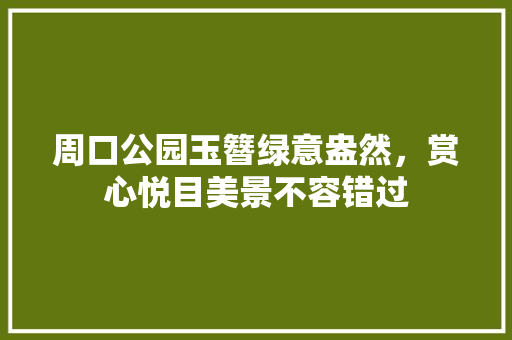 周口公园玉簪绿意盎然，赏心悦目美景不容错过