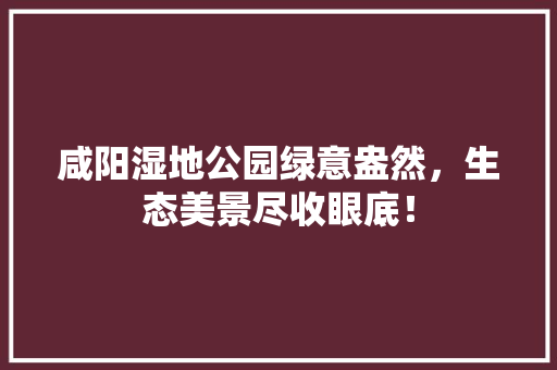 咸阳湿地公园绿意盎然，生态美景尽收眼底！