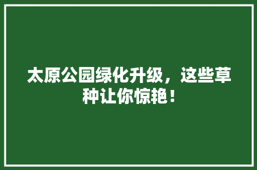 太原公园绿化升级，这些草种让你惊艳！