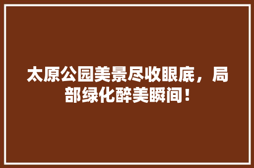 太原公园美景尽收眼底，局部绿化醉美瞬间！
