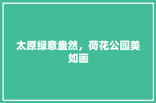 太原绿意盎然，荷花公园美如画