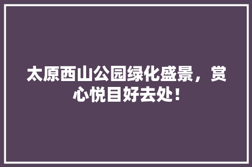 太原西山公园绿化盛景，赏心悦目好去处！