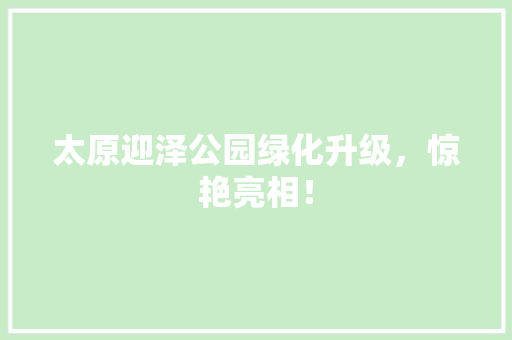太原迎泽公园绿化升级，惊艳亮相！