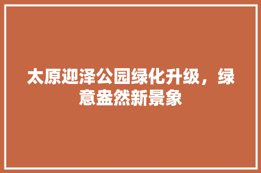太原迎泽公园绿化升级，绿意盎然新景象