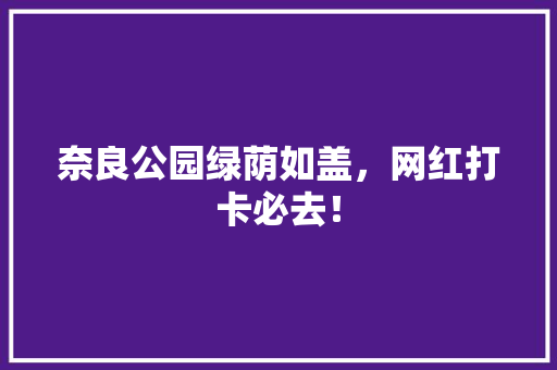 奈良公园绿荫如盖，网红打卡必去！