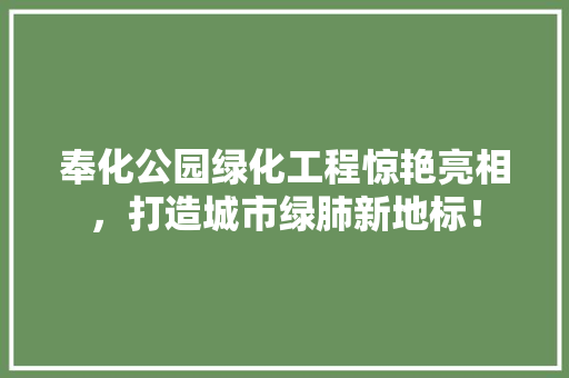 奉化公园绿化工程惊艳亮相，打造城市绿肺新地标！